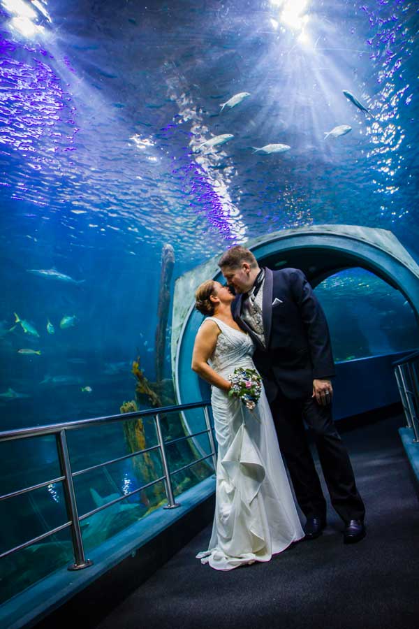 Aquarium-Wedding